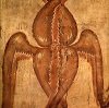 kotocitus - avatar